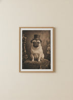 Victorian Pug Portrait Art art print