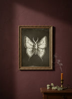 Dark Gothic Moth Illustration art print shown in a burgundy brass setting