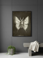 Dark Gothic Moth Illustration art print shown in a charcoal minimal black setting
