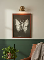 Dark Gothic Moth Illustration art print shown in a forest green walnut setting