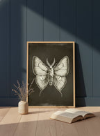 Dark Gothic Moth Illustration art print shown in a navy paneled oak setting