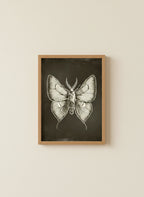 Dark Gothic Moth Illustration art print