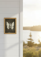 Dark Gothic Moth Illustration art print shown in a shiplap blurred view setting