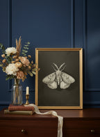 Dark Moth Botanical Illustration art print shown in a dresser dried florals setting