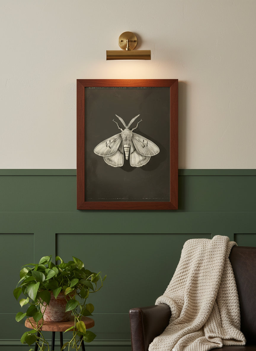 Dark Moth Botanical Illustration art print shown in a forest green walnut setting