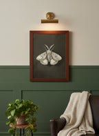 Dark Moth Botanical Illustration art print shown in a forest green walnut setting
