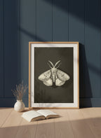 Dark Moth Botanical Illustration art print shown in a navy paneled oak setting