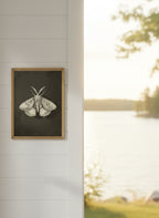 Dark Moth Botanical Illustration art print shown in a shiplap blurred view setting