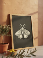 Dark Moth Botanical Illustration art print shown in a terracotta rustic setting