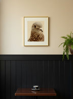 Pigeon Portrait Close Up Photo art print shown in a black wainscoting gold setting