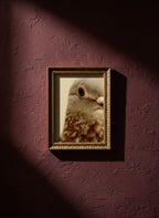 Pigeon Portrait Close Up Photo art print shown in a burgundy brass setting