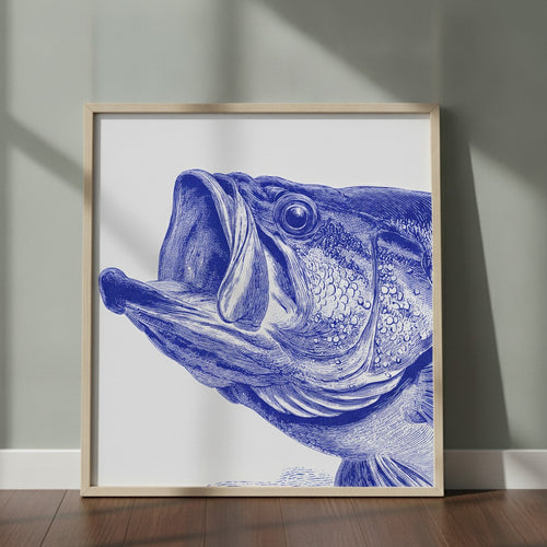 Blue Bass Fish Engraving Art art print shown in a square 2 setting