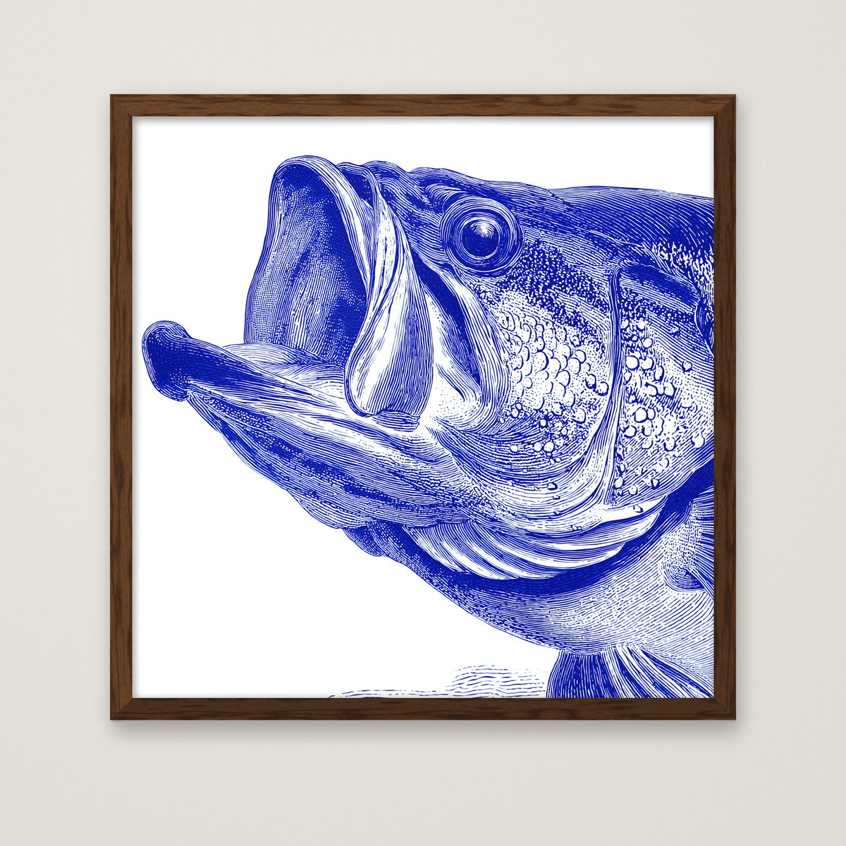 Blue Bass Fish Engraving Art in a dark wood frame