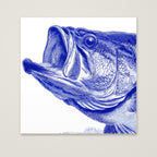 Blue Bass Fish Engraving Art as an unframed matte paper print