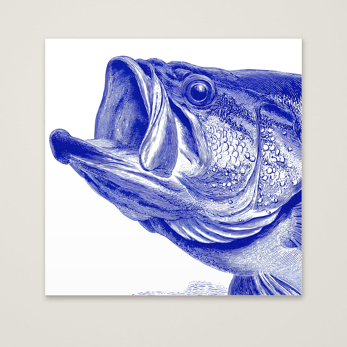 Blue Bass Fish Engraving Art as an unframed matte paper print