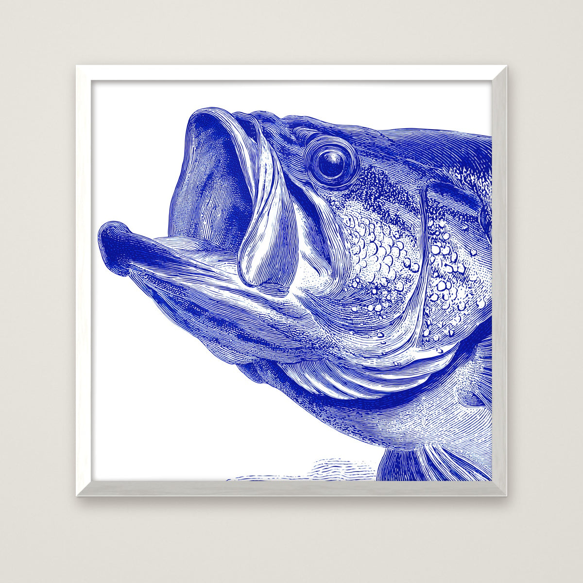 Blue Bass Fish Engraving Art in a white frame
