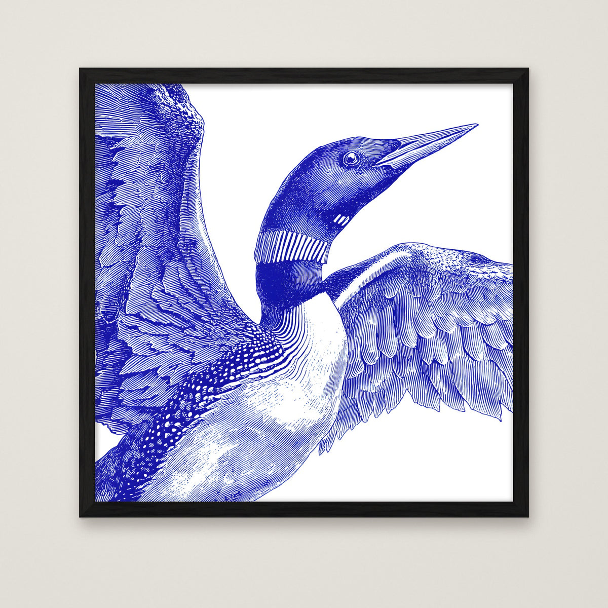 Blue Loon Bird Etching Art in a black frame