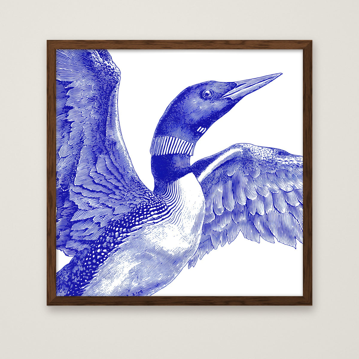 Blue Loon Bird Etching Art in a dark wood frame