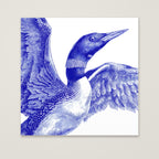 Blue Loon Bird Etching Art as an unframed matte paper print
