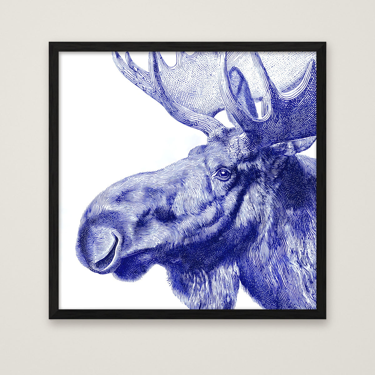 Blue Moose Engraving Art in a black frame