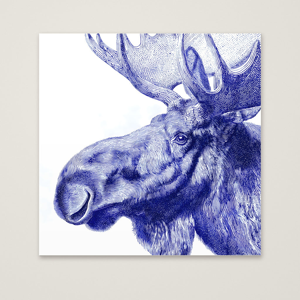 Blue Moose Engraving Art as an unframed matte paper print