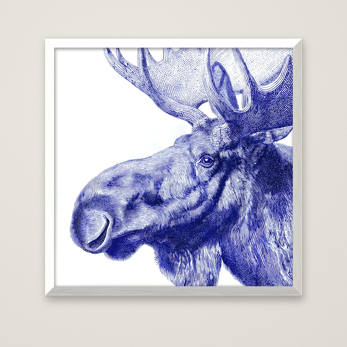 Blue Moose Engraving Art in a white frame