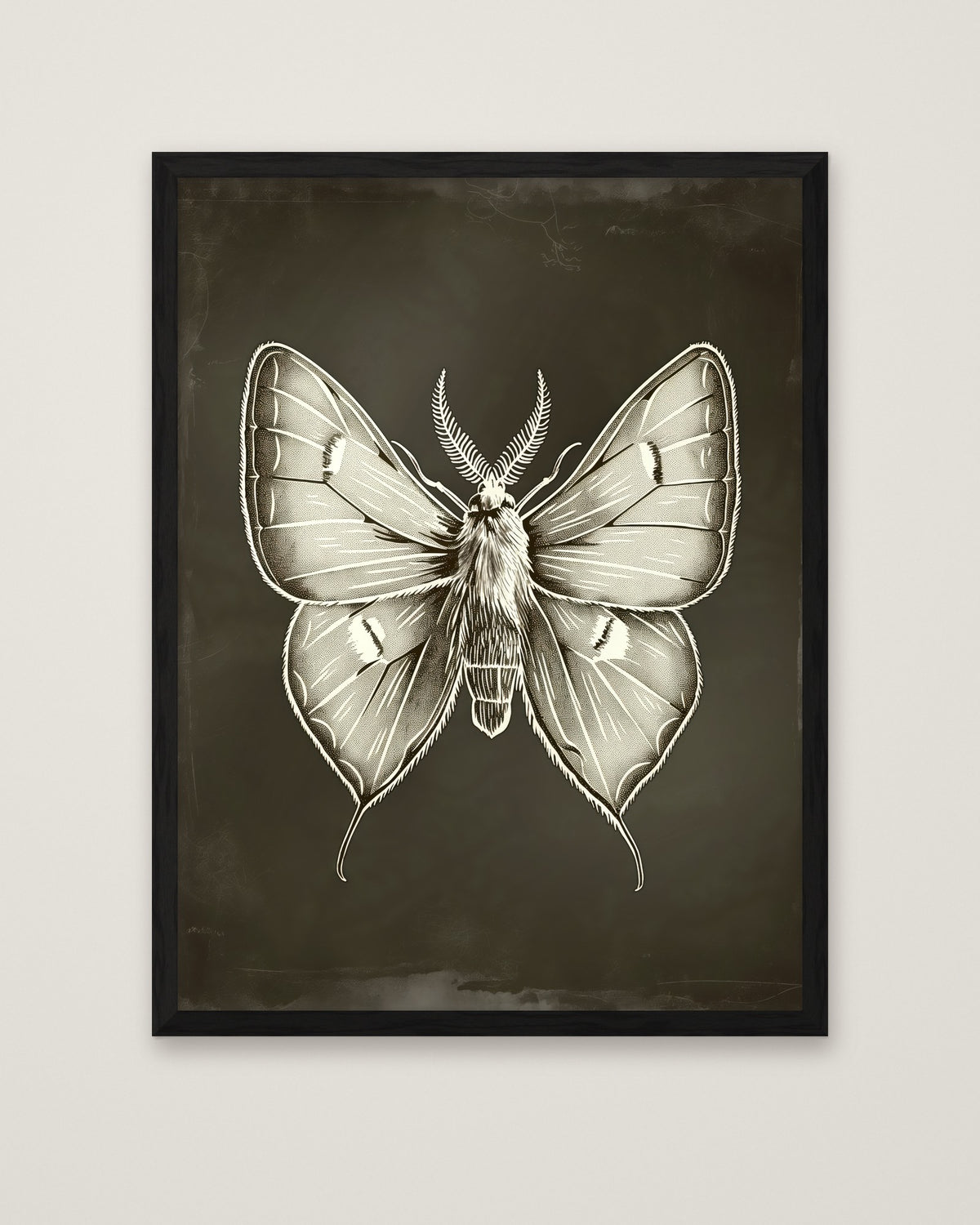 Dark Gothic Moth Illustration in a black frame