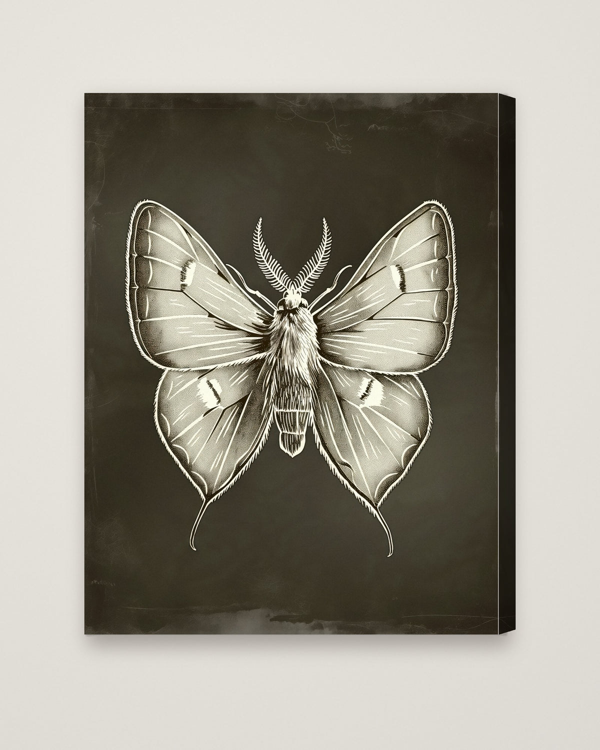 Dark Gothic Moth Illustration as a stretched canvas