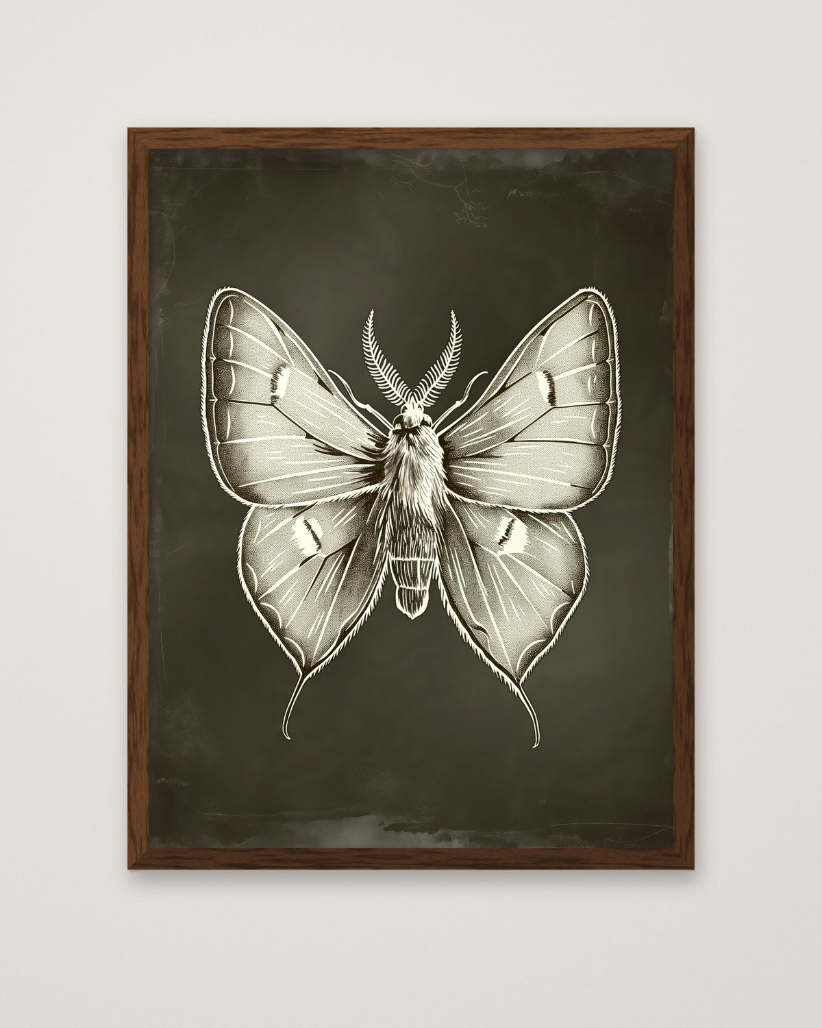 Dark Gothic Moth Illustration in a dark wood frame