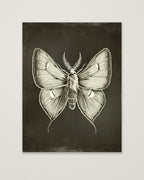 Dark Gothic Moth Illustration as an unframed matte paper print