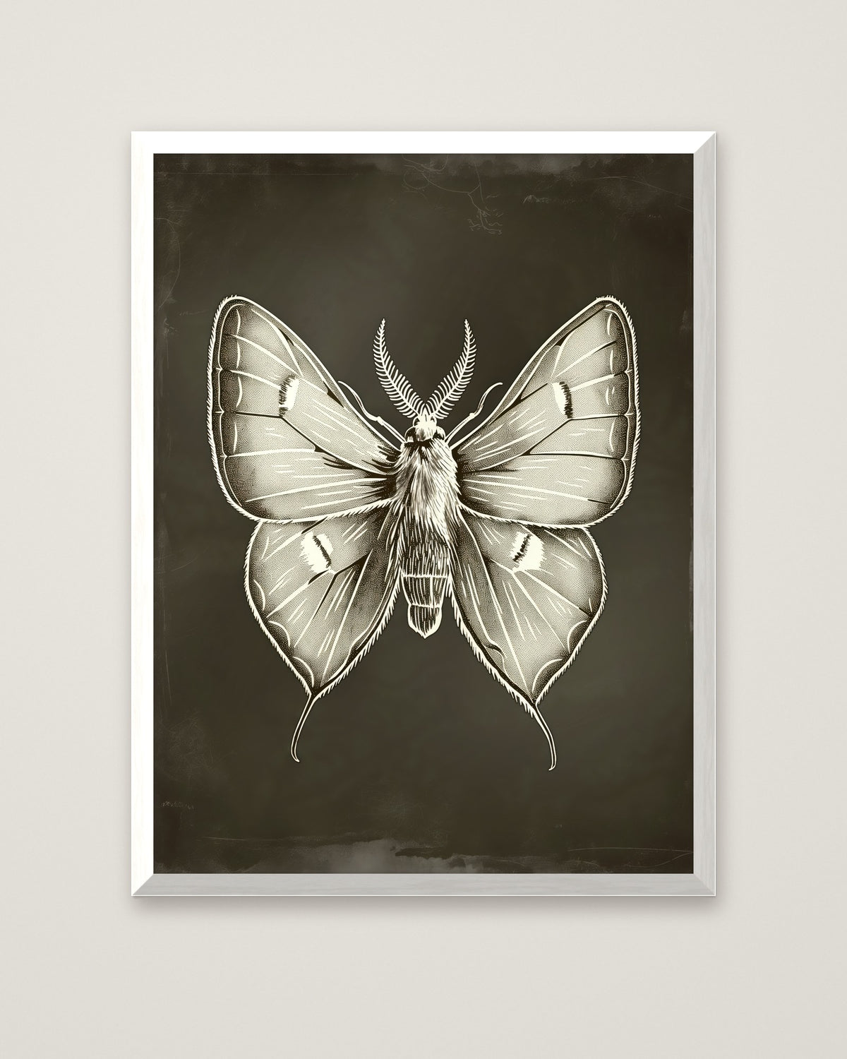 Dark Gothic Moth Illustration in a white frame