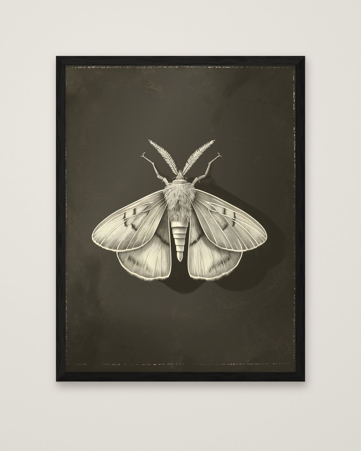 Dark Moth Botanical Illustration in a black frame