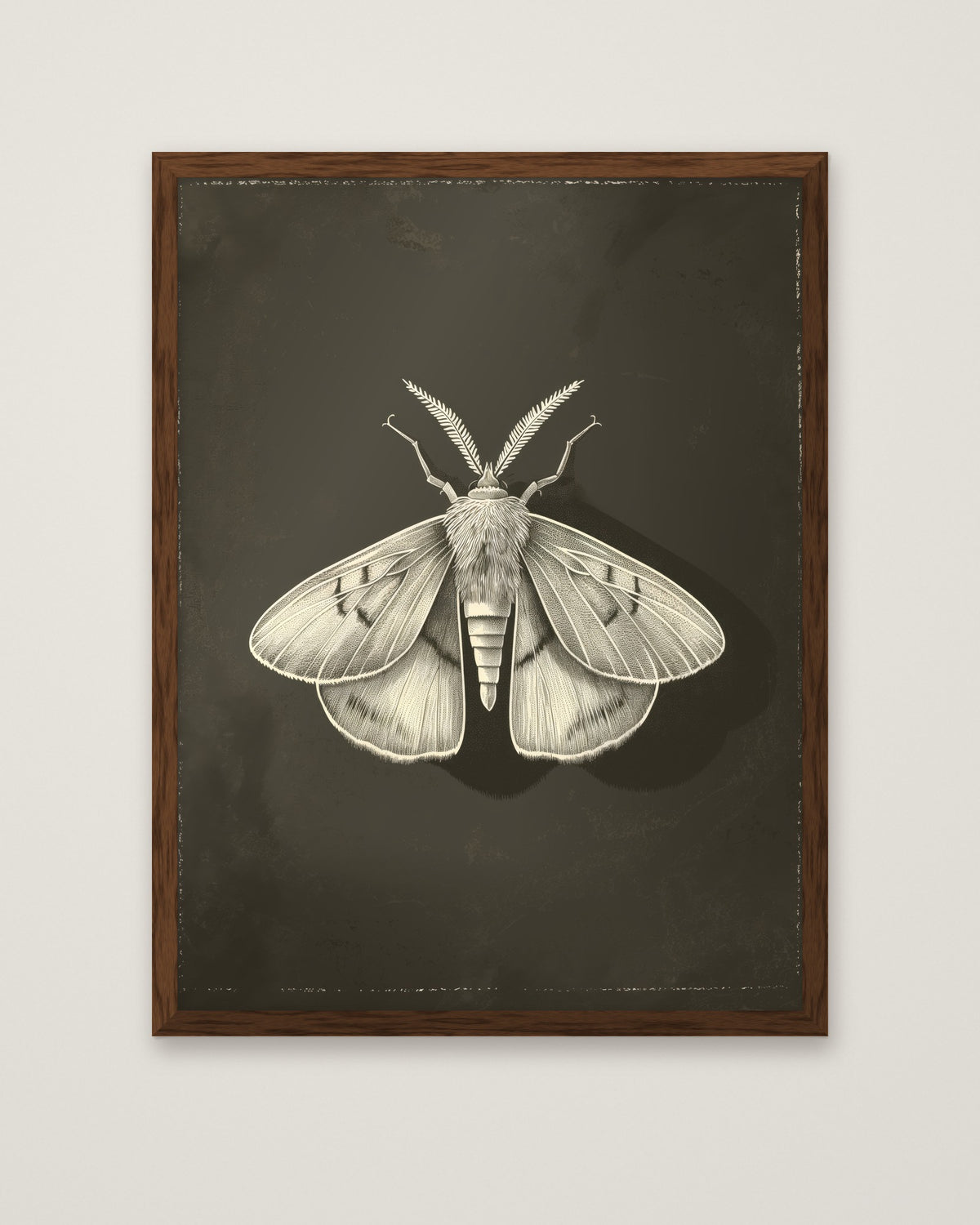 Dark Moth Botanical Illustration in a dark wood frame