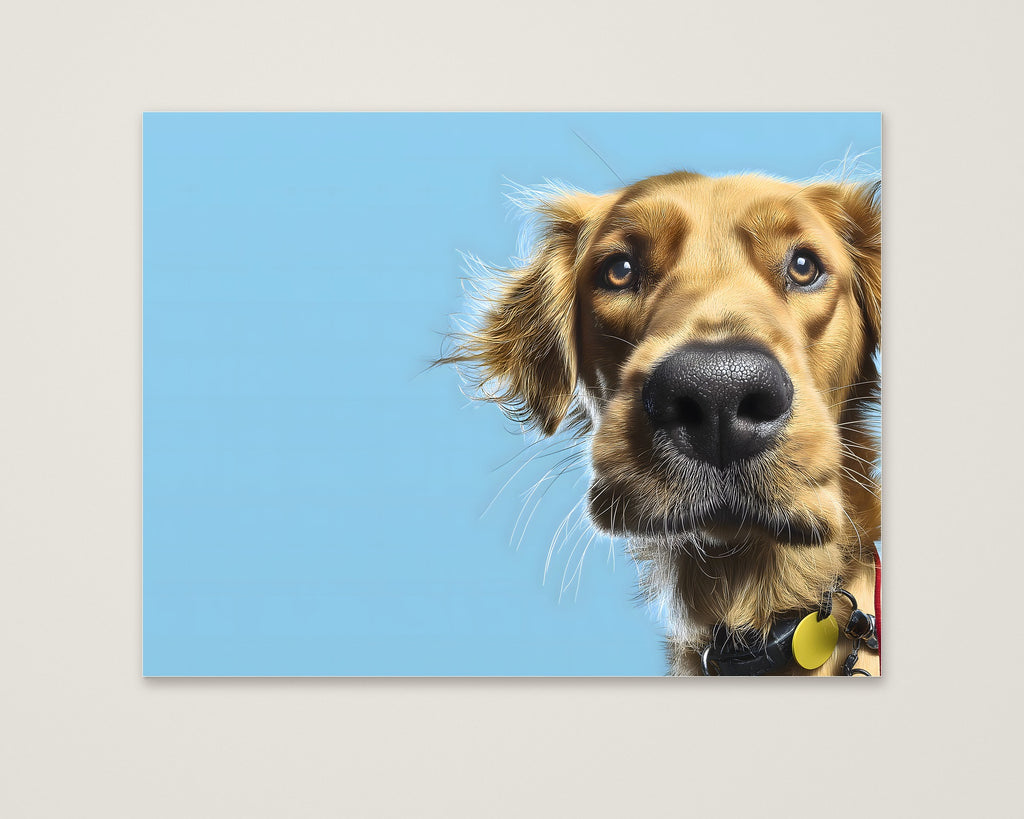 Golden Dog Portrait Art as an unframed matte paper print