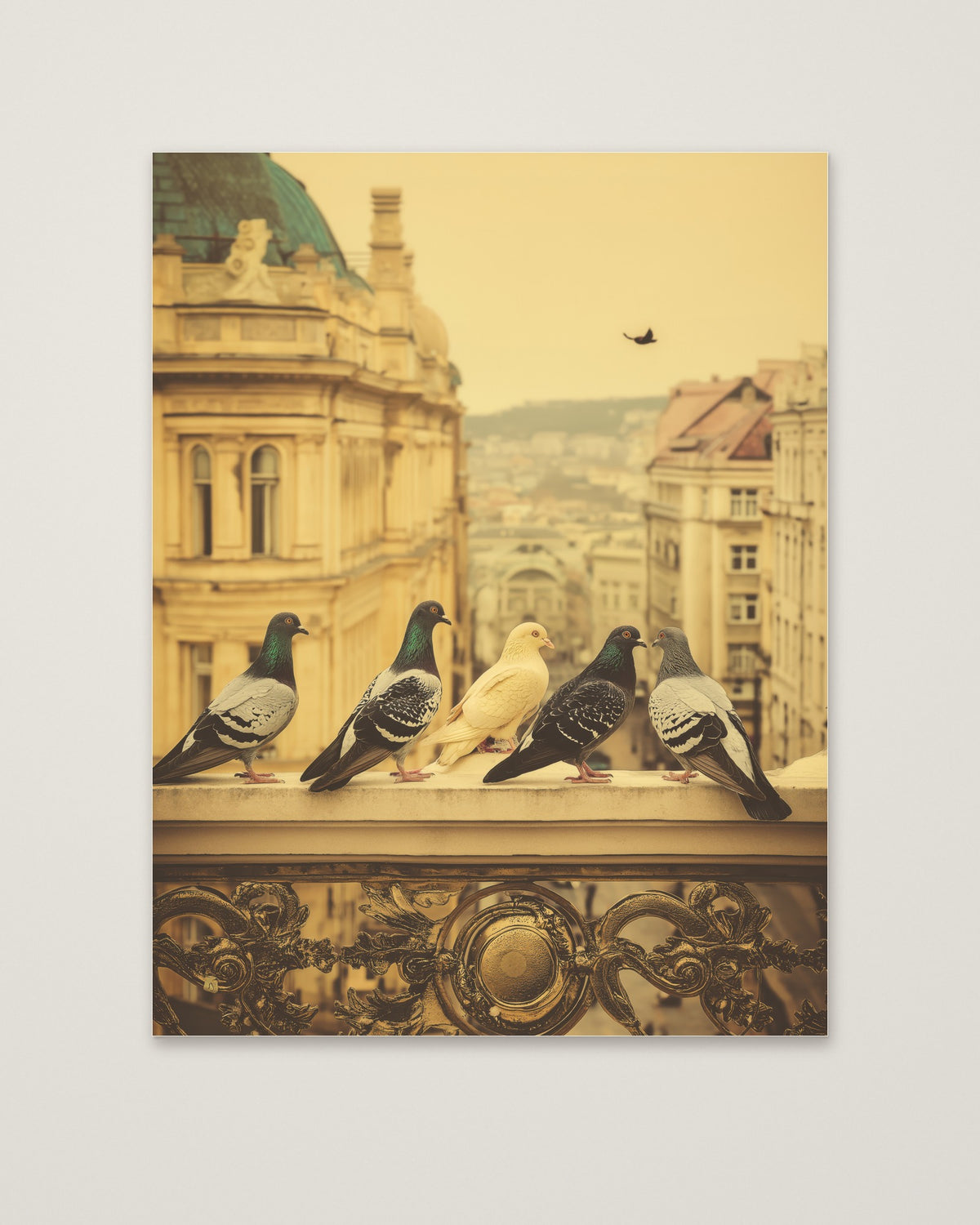 Pigeons European City Architecture Art as an unframed matte paper print