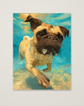Pug Dog Underwater Art as an unframed matte paper print