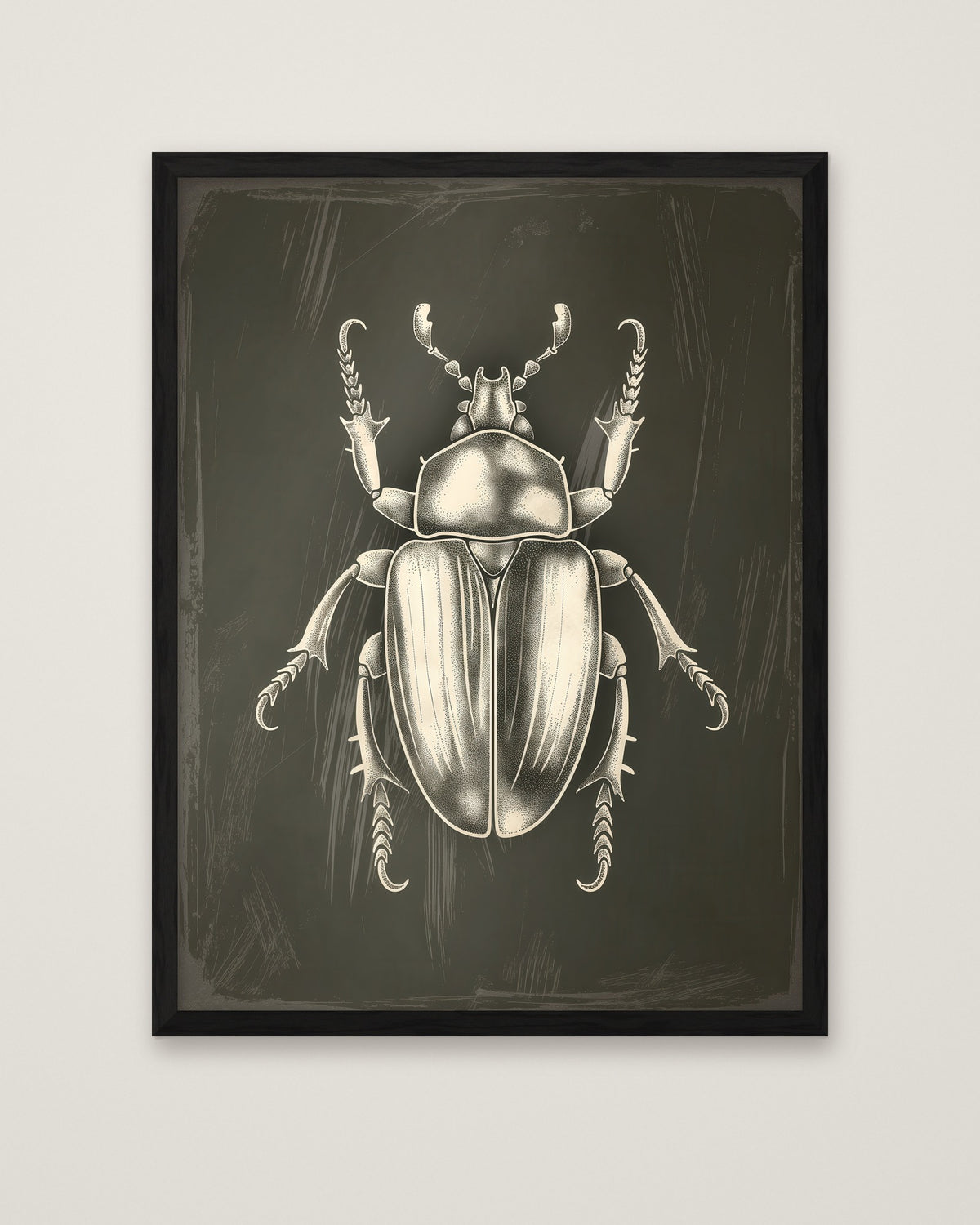 Vintage Beetle Insect Art in a black frame