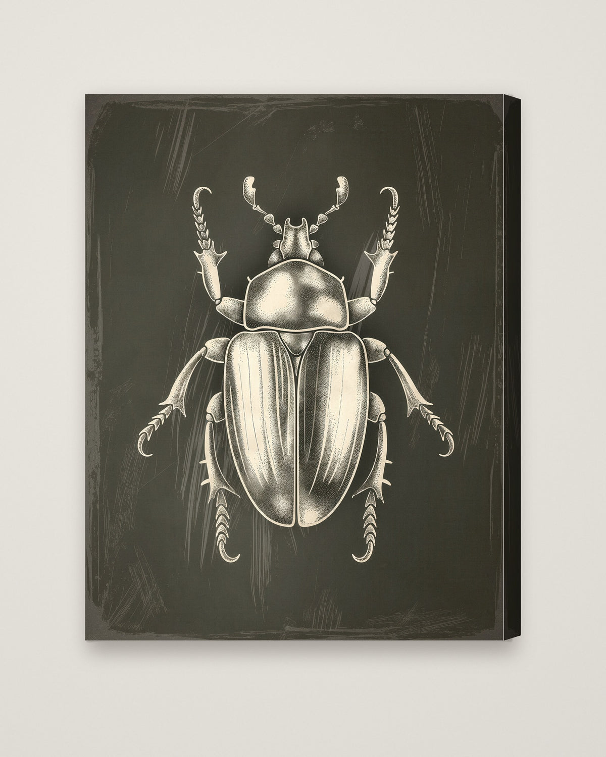 Vintage Beetle Insect Art as a stretched canvas