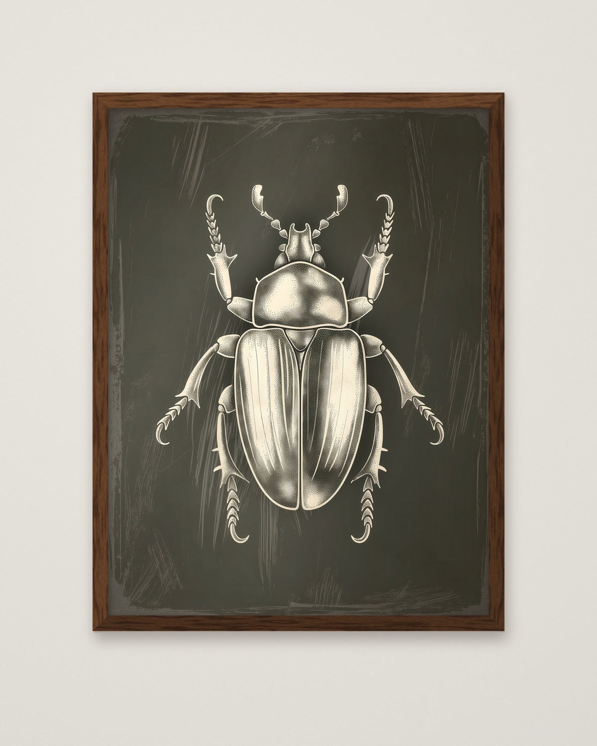 Vintage Beetle Insect Art in a dark wood frame
