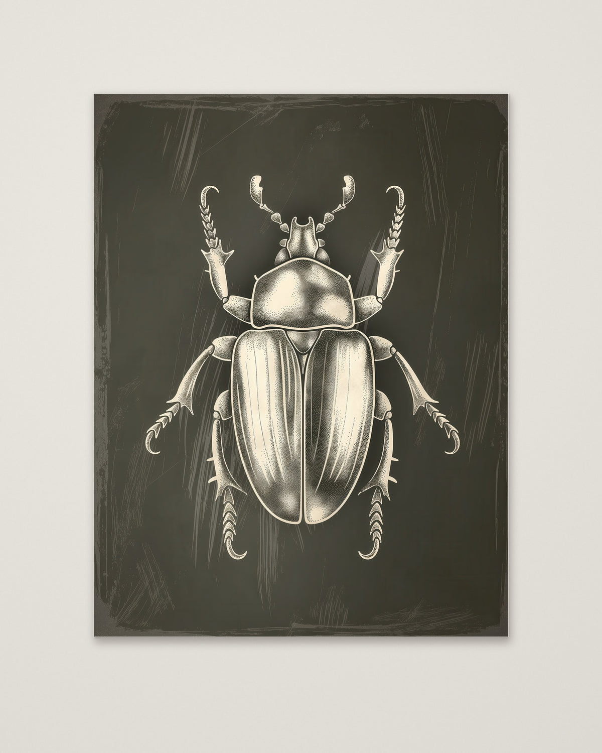 Vintage Beetle Insect Art as an unframed matte paper print