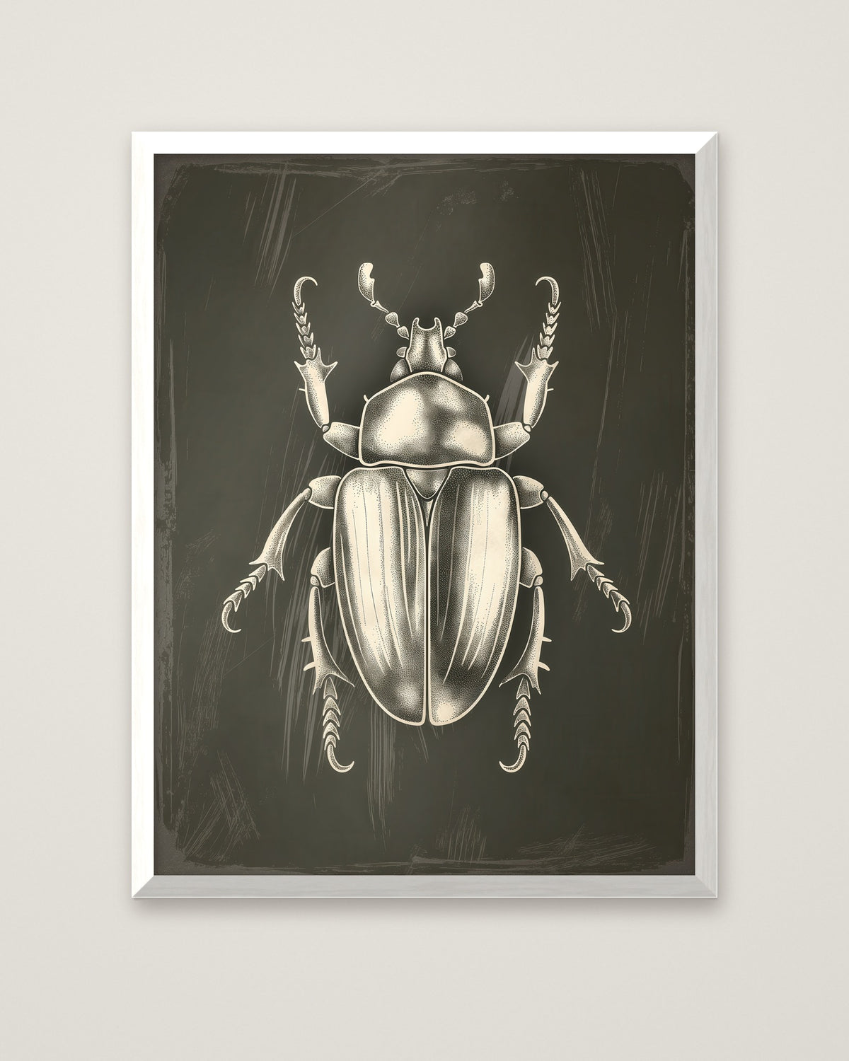 Vintage Beetle Insect Art in a white frame
